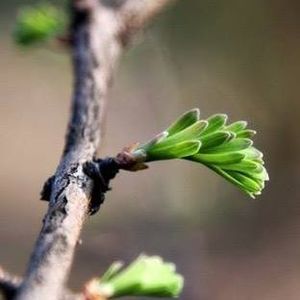 Meet your Posher, Marie